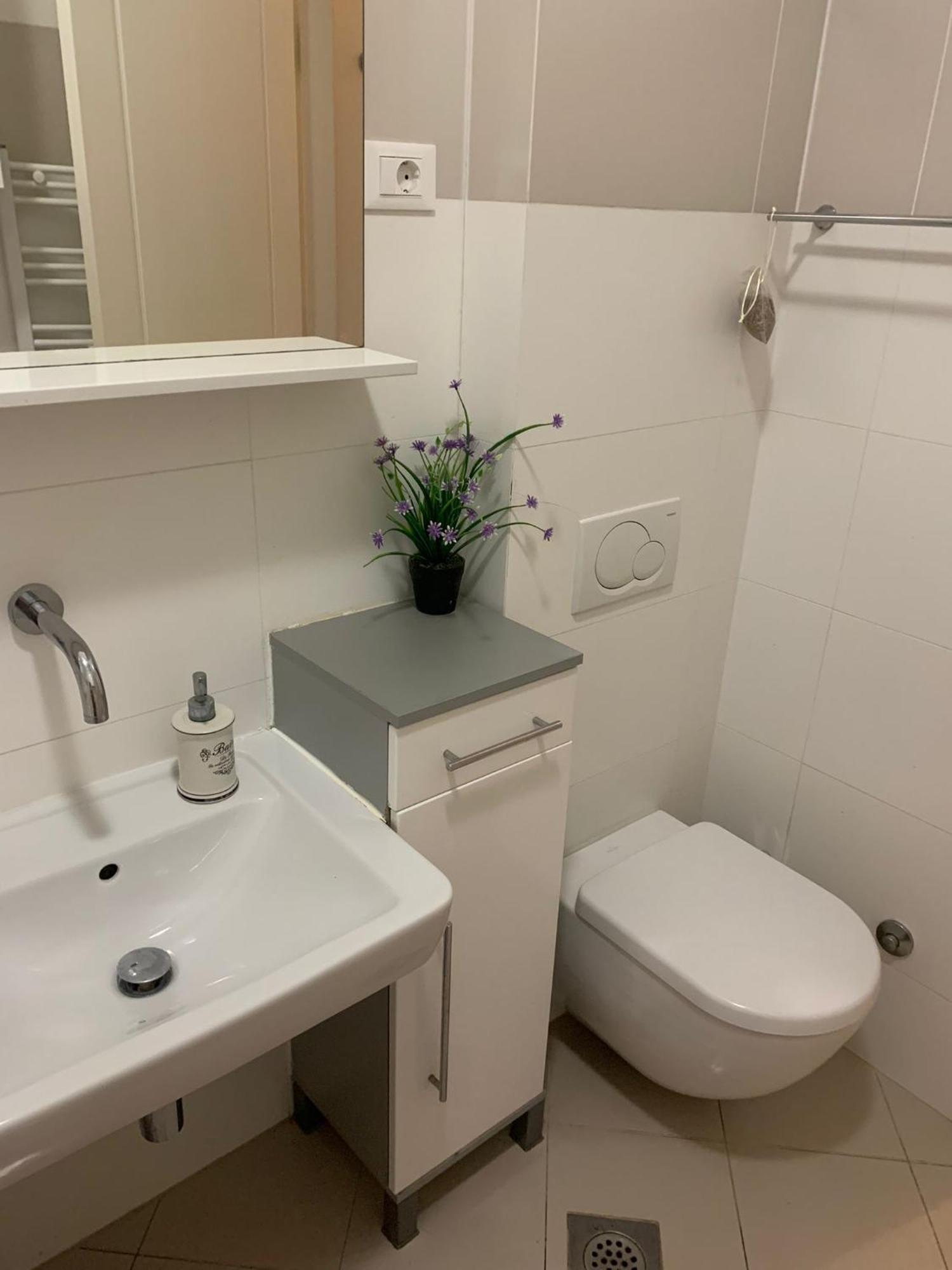 Apartment Maslina Split Dış mekan fotoğraf